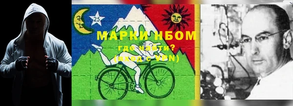 гашик Богородицк
