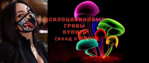 гашик Богородицк
